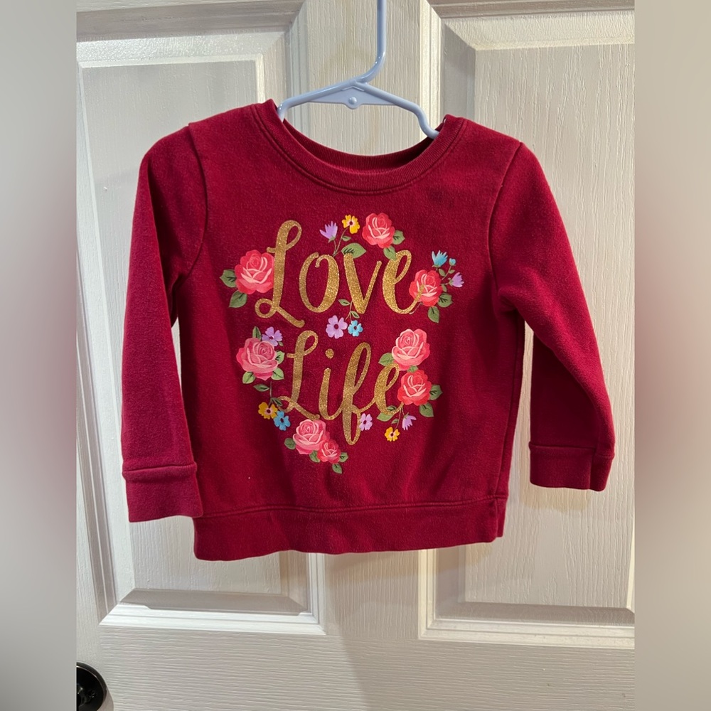 Toddler girls outfit